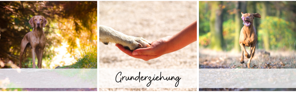 Grunderziehung