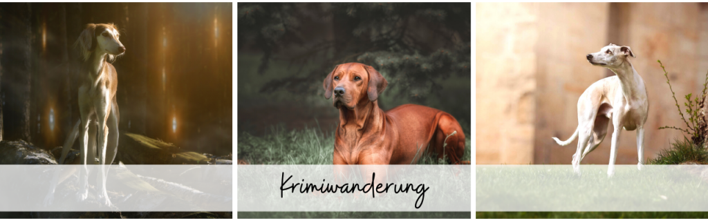Krimi