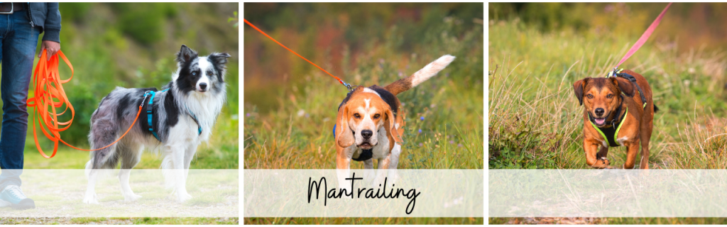 Mantrailing
