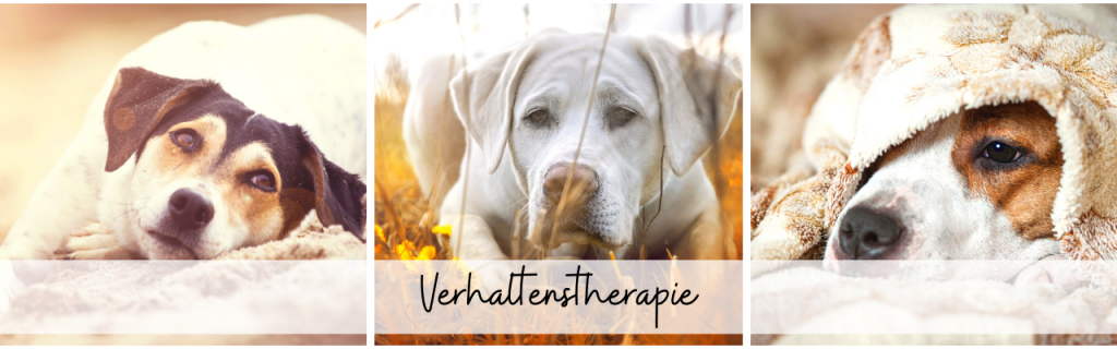 Therapie
