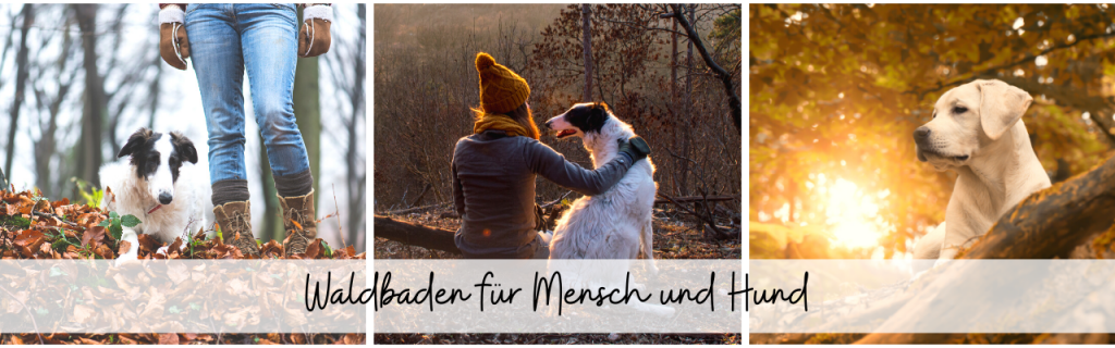 Waldbaden